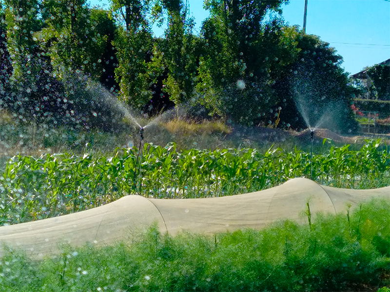 Irrigation par aspersion Créances | Perdr'Eau Les Maîtres de l'Eau