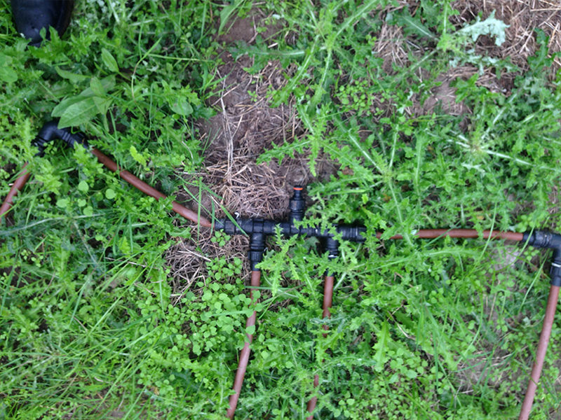 Arrosage goutte à goutte au pied de la plante dans la manche | Perdr'Eau, Les Maîtres de l'Eau