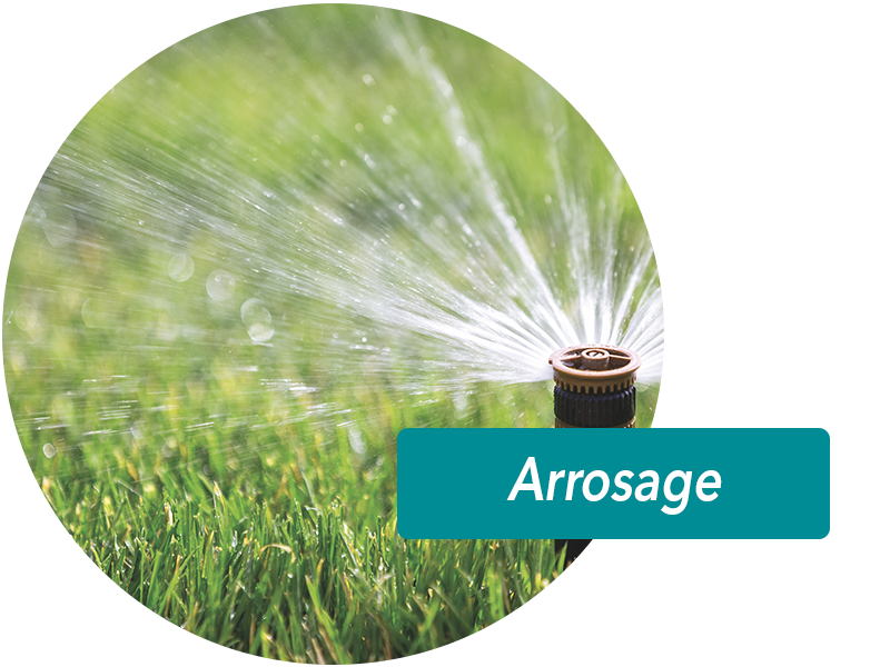 Installation d'arrosage automatique  | Perdr'Eau, Les Maîtres de l'Eau