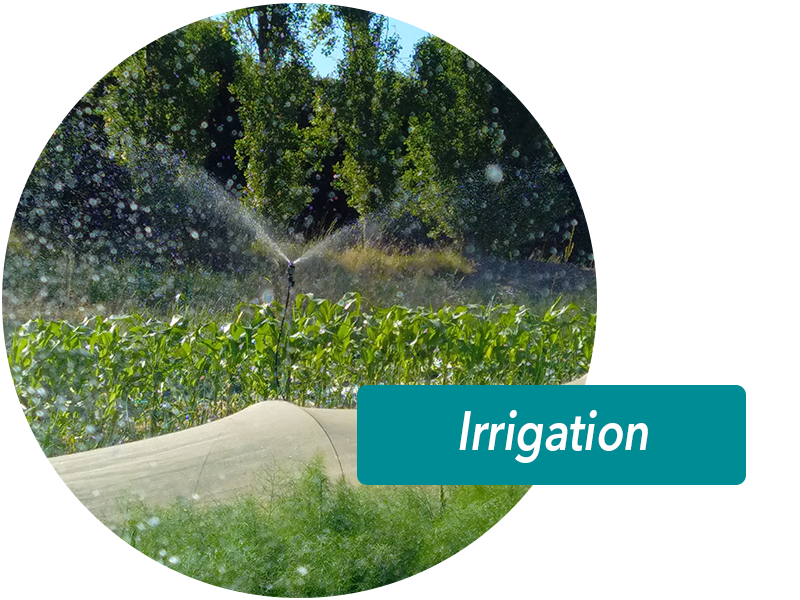 Installation de système d'irrigation | Perdr'Eau, Les Maîtres de l'Eau 