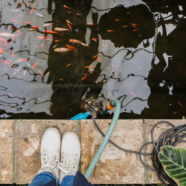 Filtration de l'eau dans les bassins d'ornement Créances | Perdr'Eau, Les Maîtres de l'Eau