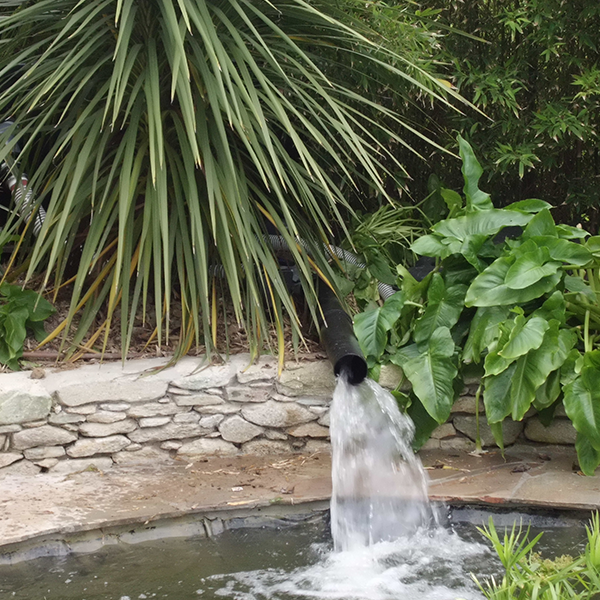 Aération des bassins d'ornement Créances | Perdr'Eau, Les Maîtres de l'Eau