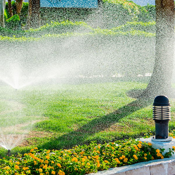 Arrosage intégré au paysage | Perdr'Eau, Les Maîtres de l'Eau
