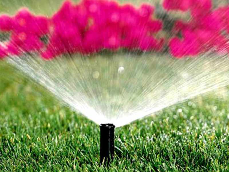 Arrosage automatique programmé dans un jardin | Perdr'Eau, Les Maîtres de l'Eau