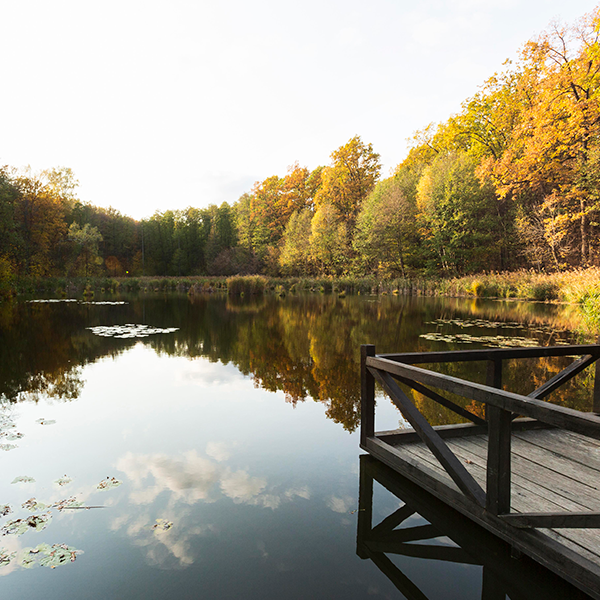 Forage pour la création d'un étang | Perdr'Eau, Les Maîtres de l'Eau