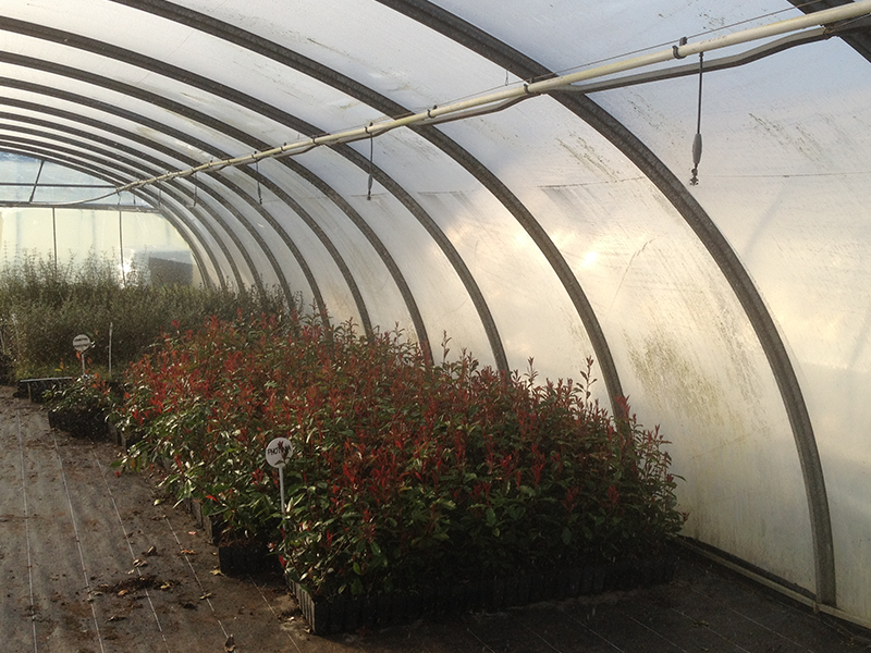 irrigation goutte à goutte hors sol en pépinière  | Perdr'Eau, Les Maîtres de l'Eau