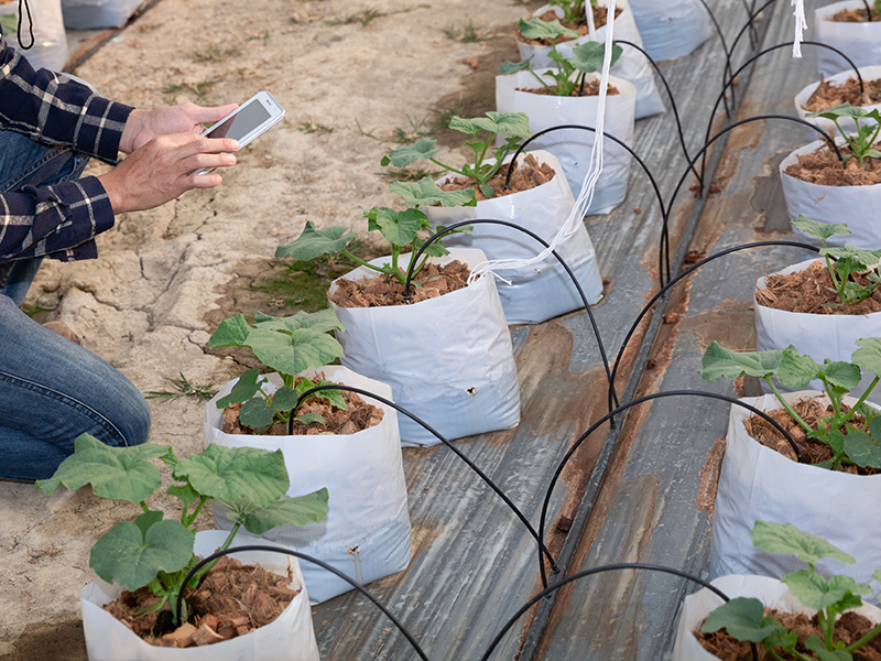 Irrigation programmé à distance  | Perdr'Eau, Les Maîtres de l'Eau