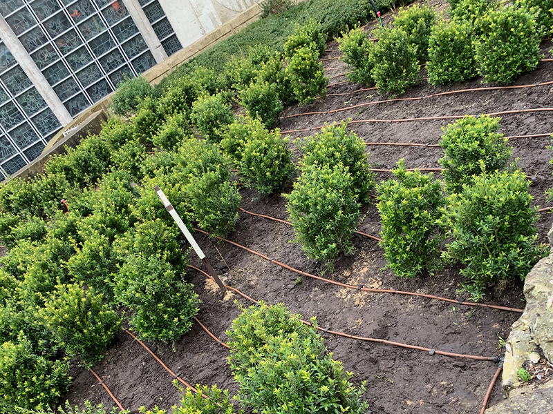 Irrigation goutte à goutte en pépinière | Perdr'Eau, Les Maîtres de l'Eau 
