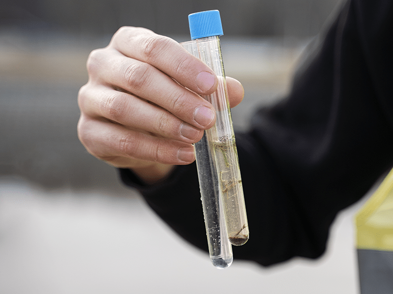 Chloration de l'eau | Perdr'Eau, Les Maîtres de l'Eau 