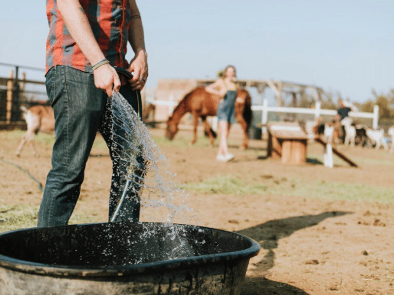 Filtration de l'eau pour abreuvoir à animaux | Perdr'Eau, Les Maîtres de l'Eau 
