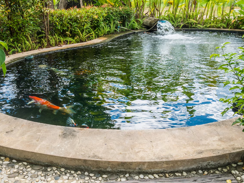 Bassin dans jardin privé avec système d'aération  | Perdr'Eau, Les Maîtres de l'Eau