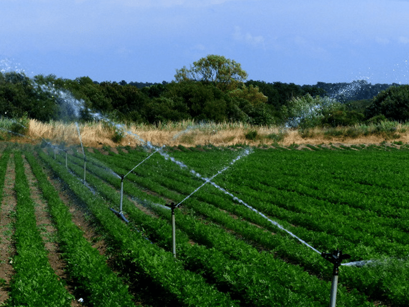 Filtration de l'eau pour les cultures agricoles | Perdr'Eau, Les Maîtres de l'Eau 