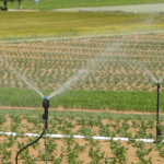 LM Innovation : Irrigation intelligente | Perdr'Eau, Les Maîtres de l'Eau