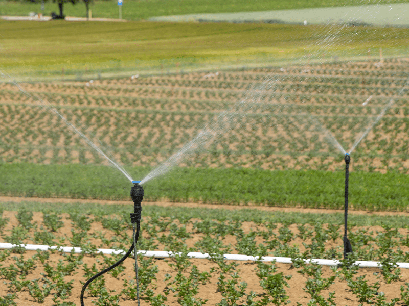LM Innovation : Irrigation intelligente | Perdr'Eau, Les Maîtres de l'Eau