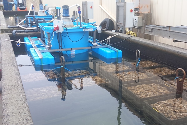 Installation de purificateur d'eau de bassin ostréicole | Perdr'Eau, Les Maîtres de l'Eau